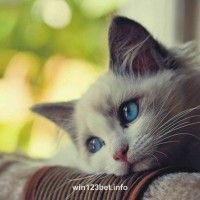 Ảnh đại diện người dùng Liễu Thùy My