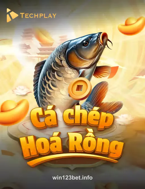 Hình ảnh Cá Chép Hóa Rồng
