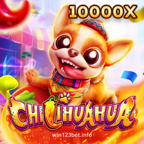 Hình ảnh Fachai Chihuahua Portrait